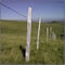 Paysage Cantalien