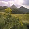 Paysage Cantalien