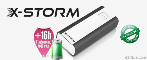 Batterie X-Storm Powergo Max