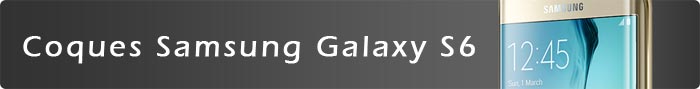Coques Samsung Galaxy S6