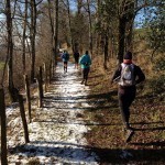 Trail dans la neige