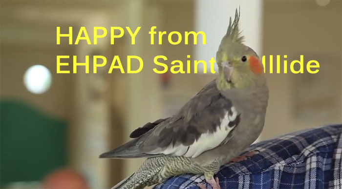 HAPPY from EHPAD Saint Illide