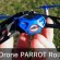 Drone Parrot : Minidrones Rolling Spider